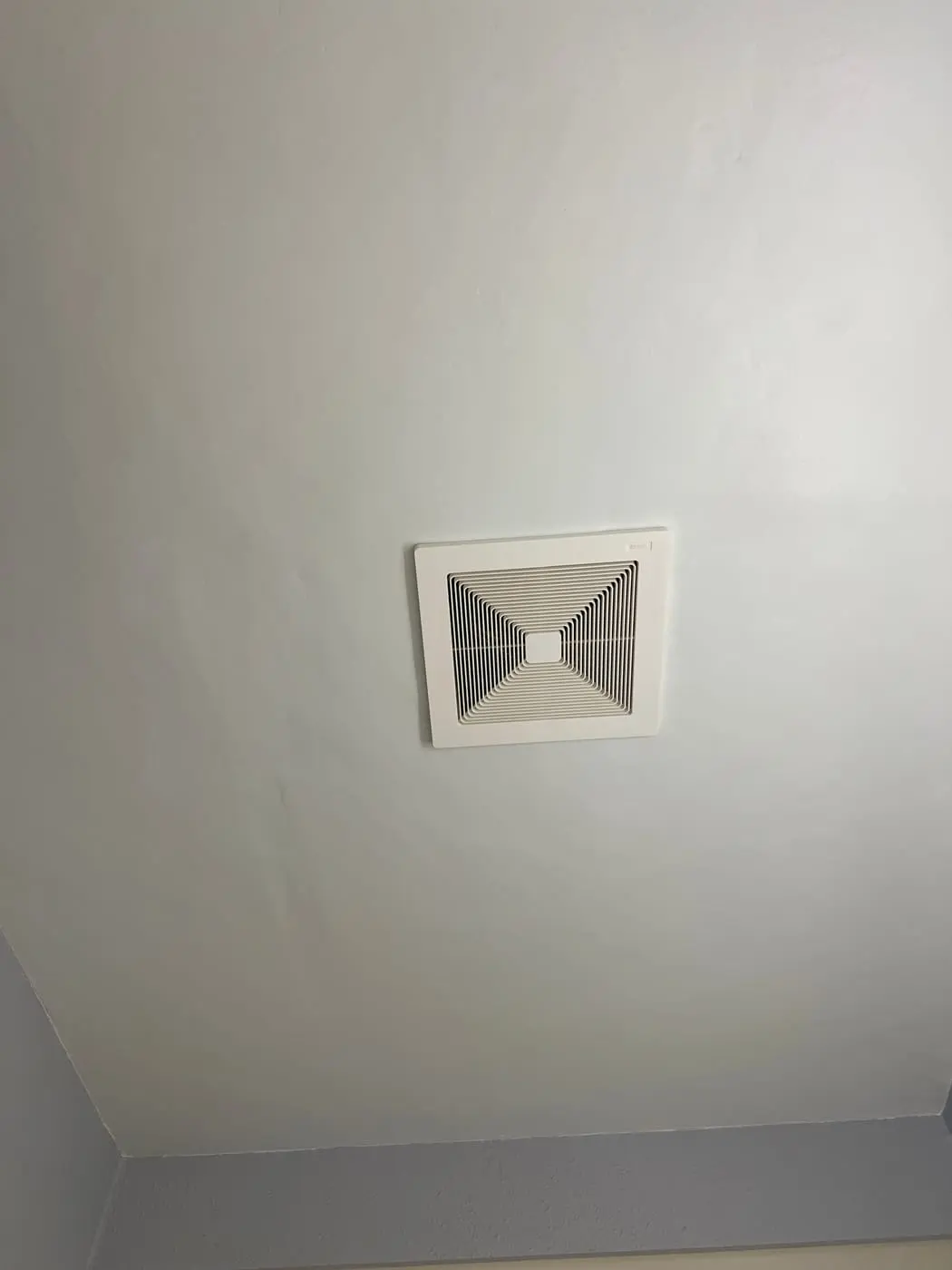 Light Fixture Replacement work detail 2