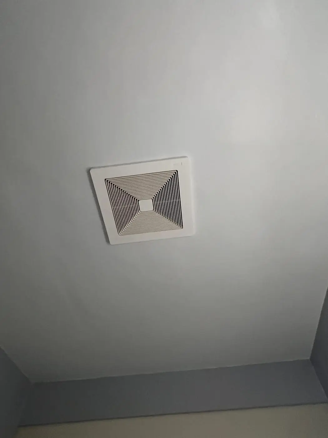 Same ceiling, thirty years younger.