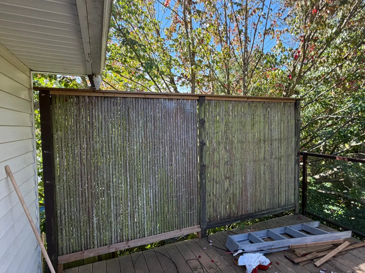 Overgrowth cleared — now you can see the frame is the problem.