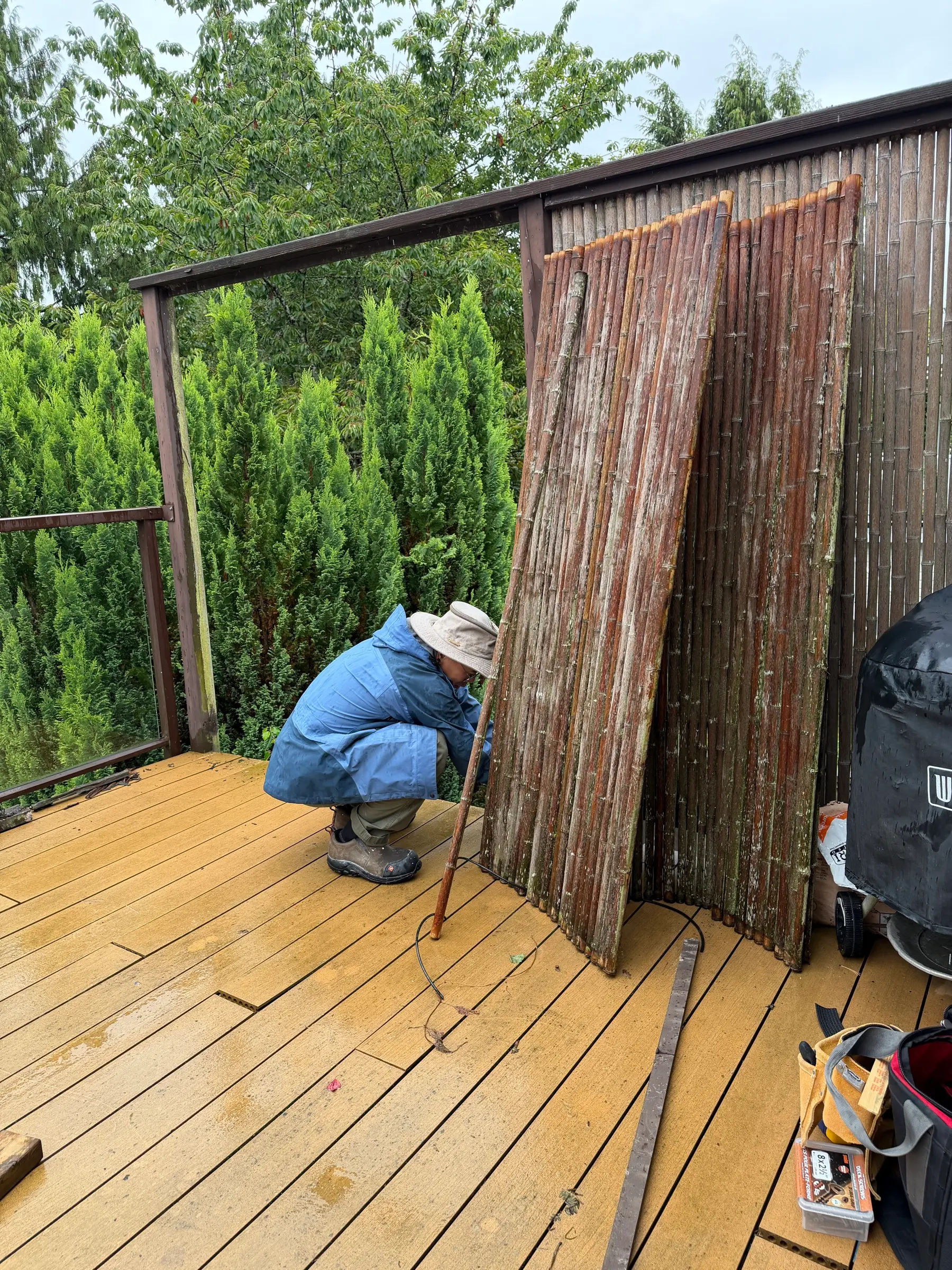 Original bamboo lifted out before the failed frame was rebuilt.