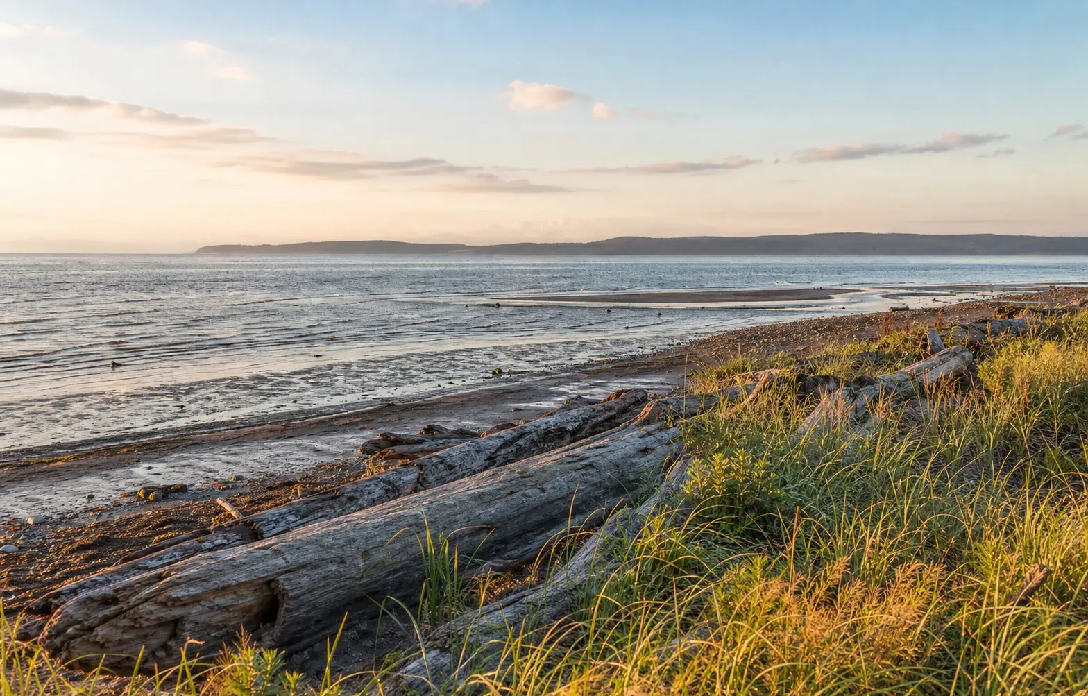 Boundary Bay shoreline at sunset in Tsawwassen, Delta